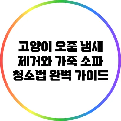 고양이 오줌 냄새 제거와 가죽 소파 청소법 완벽 가이드