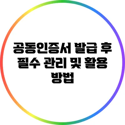 공동인증서 발급 후 필수 관리 및 활용 방법