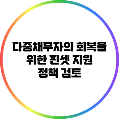 다중채무자의 회복을 위한 핀셋 지원 정책 검토