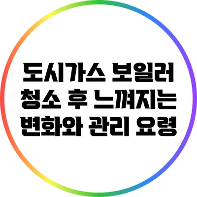 도시가스 보일러 청소 후 느껴지는 변화와 관리 요령