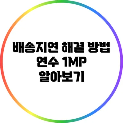 배송지연 해결 방법: 연수 1MP 알아보기
