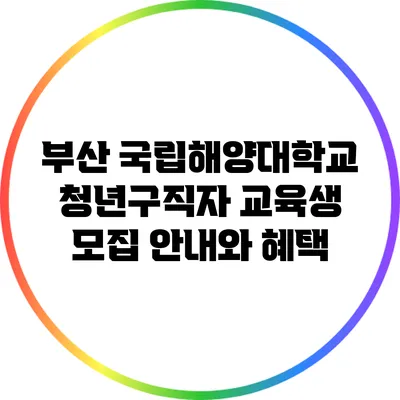 부산 국립해양대학교 청년구직자 교육생 모집 안내와 혜택