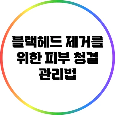 블랙헤드 제거를 위한 피부 청결 관리법