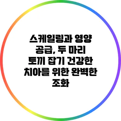 스케일링과 영양 공급, 두 마리 토끼 잡기: 건강한 치아를 위한 완벽한 조화