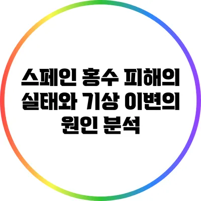 스페인 홍수 피해의 실태와 기상 이변의 원인 분석