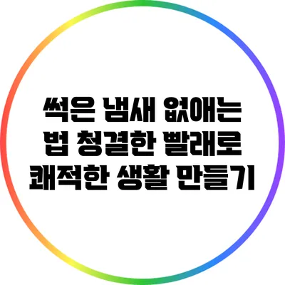 썩은 냄새 없애는 법: 청결한 빨래로 쾌적한 생활 만들기