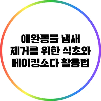 애완동물 냄새 제거를 위한 식초와 베이킹소다 활용법