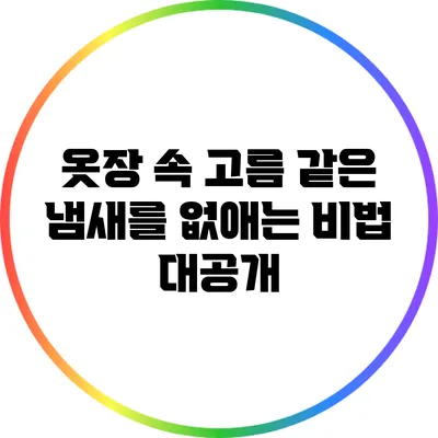 옷장 속 고름 같은 냄새를 없애는 비법 대공개
