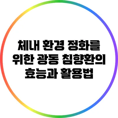 체내 환경 정화를 위한 광동 침향환의 효능과 활용법