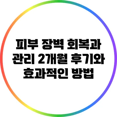 피부 장벽 회복과 관리: 2개월 후기와 효과적인 방법