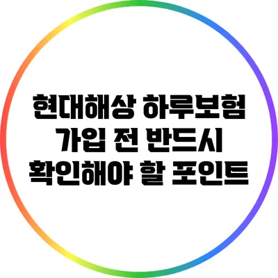 현대해상 하루보험 가입 전 반드시 확인해야 할 포인트