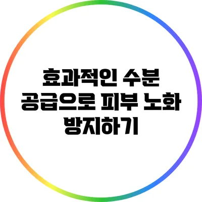효과적인 수분 공급으로 피부 노화 방지하기