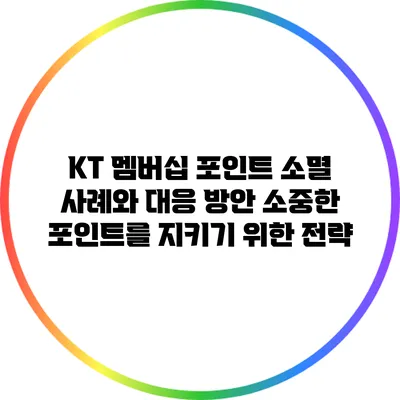 KT 멤버십 포인트 소멸 사례와 대응 방안: 소중한 포인트를 지키기 위한 전략