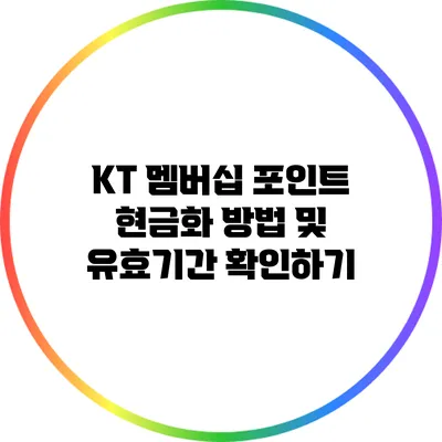 KT 멤버십 포인트 현금화 방법 및 유효기간 확인하기