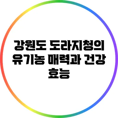 강원도 도라지청의 유기농 매력과 건강 효능