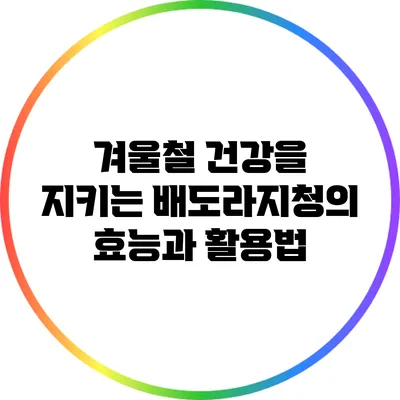 겨울철 건강을 지키는 배도라지청의 효능과 활용법
