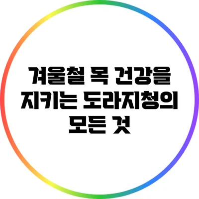 겨울철 목 건강을 지키는 도라지청의 모든 것