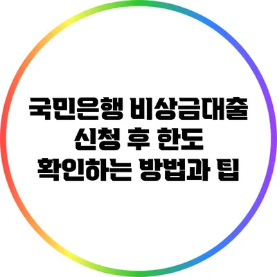 국민은행 비상금대출 신청 후 한도 확인하는 방법과 팁