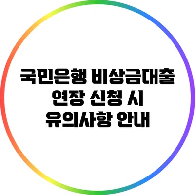 국민은행 비상금대출 연장 신청 시 유의사항 안내