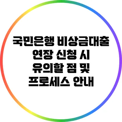 국민은행 비상금대출 연장 신청 시 유의할 점 및 프로세스 안내