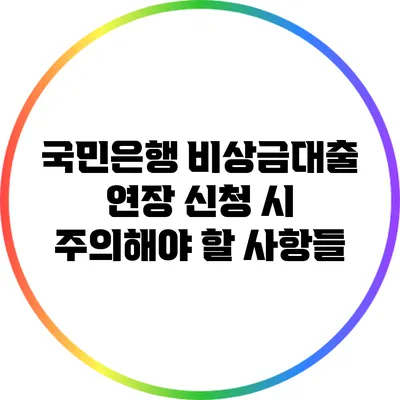 국민은행 비상금대출 연장 신청 시 주의해야 할 사항들