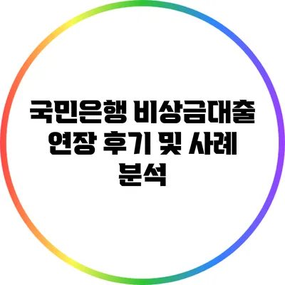 국민은행 비상금대출 연장 후기 및 사례 분석