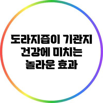 도라지즙이 기관지 건강에 미치는 놀라운 효과
