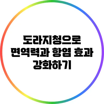 도라지청으로 면역력과 항염 효과 강화하기