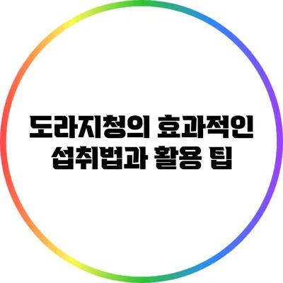 도라지청의 효과적인 섭취법과 활용 팁