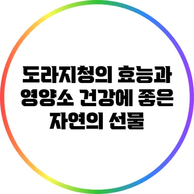 도라지청의 효능과 영양소: 건강에 좋은 자연의 선물