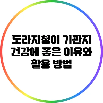 도라지청이 기관지 건강에 좋은 이유와 활용 방법