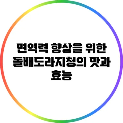 면역력 향상을 위한 돌배도라지청의 맛과 효능