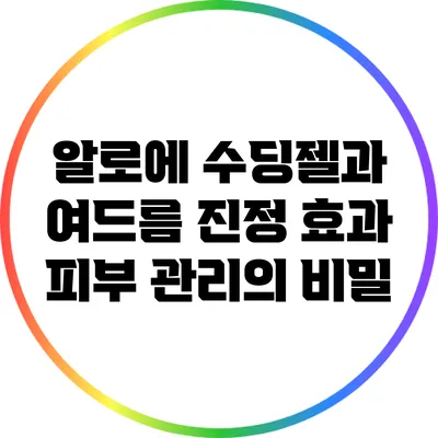 알로에 수딩젤과 여드름 진정 효과: 피부 관리의 비밀