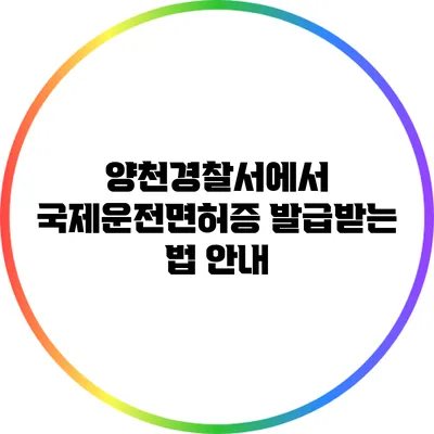 양천경찰서에서 국제운전면허증 발급받는 법 안내