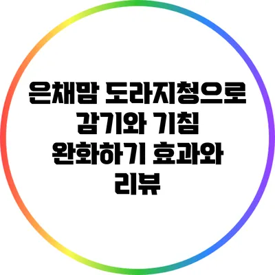 은채맘 도라지청으로 감기와 기침 완화하기: 효과와 리뷰