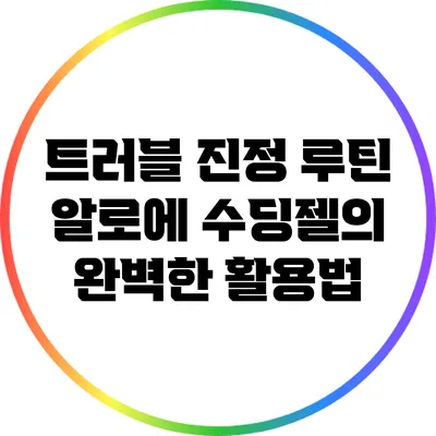 트러블 진정 루틴: 알로에 수딩젤의 완벽한 활용법