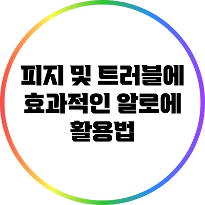 피지 및 트러블에 효과적인 알로에 활용법