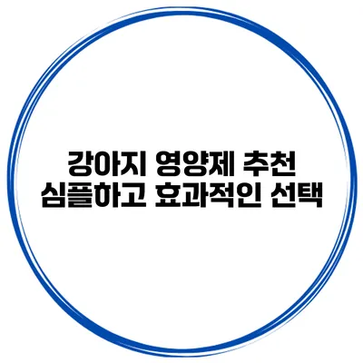 강아지 영양제 추천 심플하고 효과적인 선택