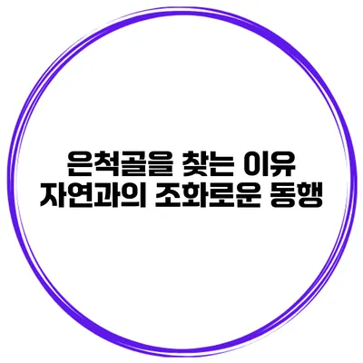 은척골을 찾는 이유 자연과의 조화로운 동행