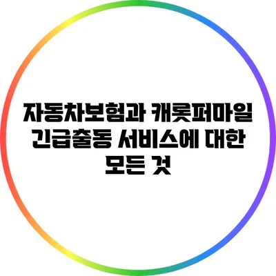 자동차보험과 캐롯퍼마일 긴급출동 서비스에 대한 모든 것