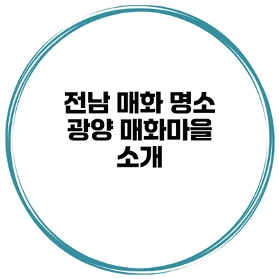 전남 매화 명소 광양 매화마을 소개