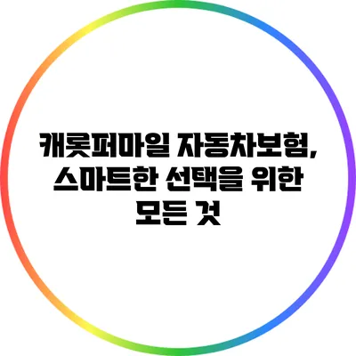 캐롯퍼마일 자동차보험, 스마트한 선택을 위한 모든 것